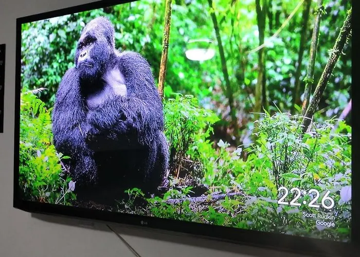 Bela Vista MaricáPousada